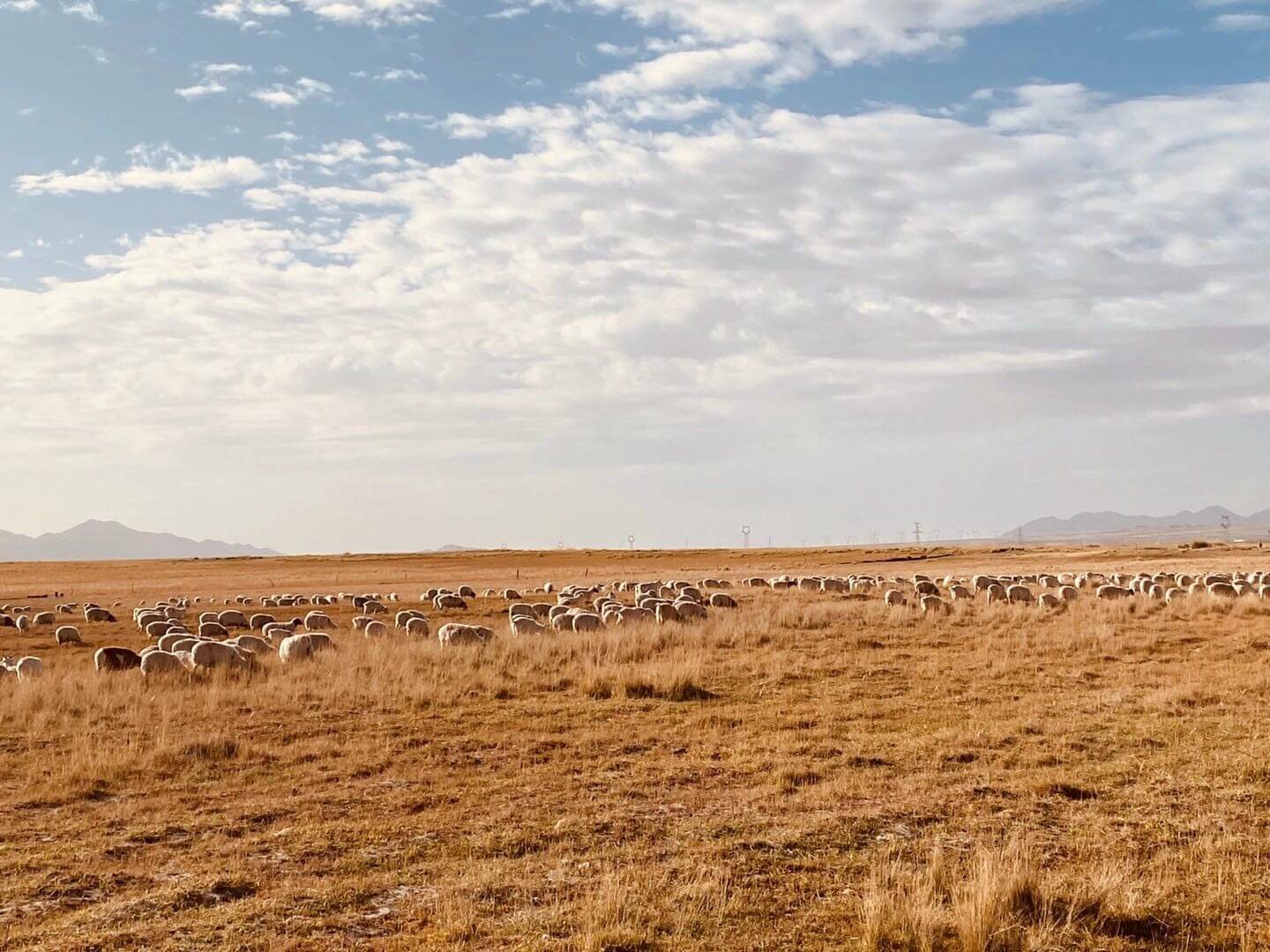 前端规范 取自博哥